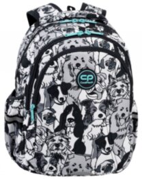 Рюкзак шкільний CoolPack Joy S F029708 Dogs Planet