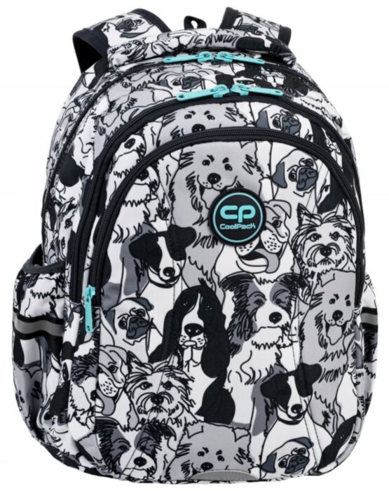 Рюкзак шкільний CoolPack Joy S F048708 Dogs Planet