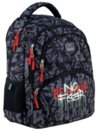 Рюкзак шкільний GoPack GO24-175M-9 No Fear