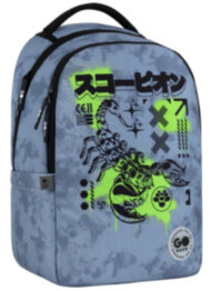 Рюкзак для міста та навчання GoPack GO26-135M-5 сірий