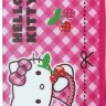 Пенал Kite HK14-621-2K Hello Kitty